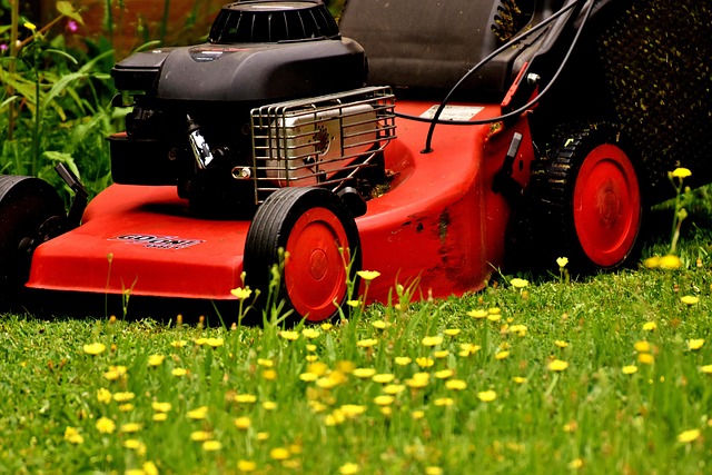 Gartenpflege